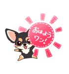 いやしの日常 チワワ (ブラックタン) 編4（個別スタンプ：1）