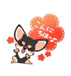 いやしの日常 チワワ (ブラックタン) 編4（個別スタンプ：3）