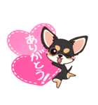 いやしの日常 チワワ (ブラックタン) 編4（個別スタンプ：4）