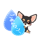 いやしの日常 チワワ (ブラックタン) 編4（個別スタンプ：5）