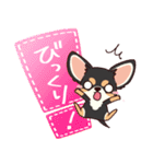 いやしの日常 チワワ (ブラックタン) 編4（個別スタンプ：10）
