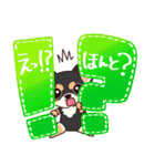 いやしの日常 チワワ (ブラックタン) 編4（個別スタンプ：11）