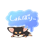 いやしの日常 チワワ (ブラックタン) 編4（個別スタンプ：15）