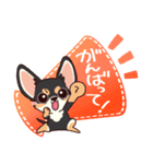 いやしの日常 チワワ (ブラックタン) 編4（個別スタンプ：17）