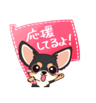 いやしの日常 チワワ (ブラックタン) 編4（個別スタンプ：18）