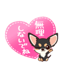 いやしの日常 チワワ (ブラックタン) 編4（個別スタンプ：20）