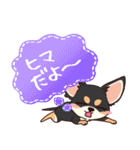 いやしの日常 チワワ (ブラックタン) 編4（個別スタンプ：26）