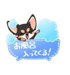 いやしの日常 チワワ (ブラックタン) 編4（個別スタンプ：27）