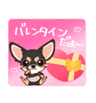 いやしの日常 チワワ (ブラックタン) 編4（個別スタンプ：32）