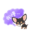 いやしの日常 チワワ (ブラックタン) 編4（個別スタンプ：39）
