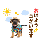 でか文字！夏のシェパードの子犬（個別スタンプ：1）
