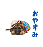 でか文字！夏のシェパードの子犬（個別スタンプ：5）