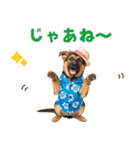 でか文字！夏のシェパードの子犬（個別スタンプ：6）