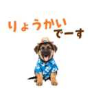 でか文字！夏のシェパードの子犬（個別スタンプ：7）