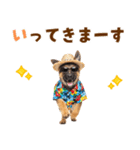 でか文字！夏のシェパードの子犬（個別スタンプ：8）