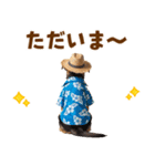 でか文字！夏のシェパードの子犬（個別スタンプ：9）