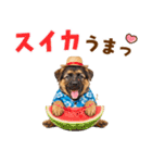 でか文字！夏のシェパードの子犬（個別スタンプ：18）