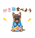 でか文字！夏のシェパードの子犬（個別スタンプ：19）