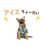 でか文字！夏のシェパードの子犬（個別スタンプ：20）