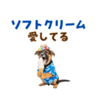 でか文字！夏のシェパードの子犬（個別スタンプ：24）