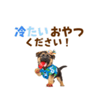 でか文字！夏のシェパードの子犬（個別スタンプ：25）