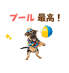 でか文字！夏のシェパードの子犬（個別スタンプ：27）