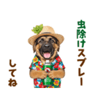 でか文字！夏のシェパードの子犬（個別スタンプ：32）