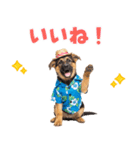 でか文字！夏のシェパードの子犬（個別スタンプ：33）