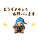 でか文字！夏のシェパードの子犬（個別スタンプ：38）