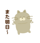日常で使えるでかねこスタンプ（個別スタンプ：9）