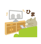 日常で使えるでかねこスタンプ（個別スタンプ：14）