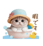 スコティッシュ猫 麦わら帽 会話 お返事（個別スタンプ：27）