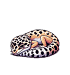 無言で伝えるヒョウモントカゲモドキレオパ（個別スタンプ：28）