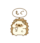 ひとこと！ハリーさん一家（個別スタンプ：19）