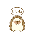 ひとこと！ハリーさん一家（個別スタンプ：25）