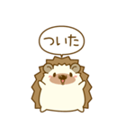 ひとこと！ハリーさん一家（個別スタンプ：31）