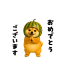 動く！野菜フルーツ柴犬（個別スタンプ：11）