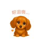 ミニチュアダックスフンド【繁體字】（個別スタンプ：7）