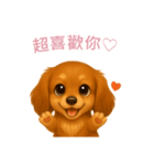 ミニチュアダックスフンド【繁體字】（個別スタンプ：8）