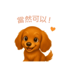 ミニチュアダックスフンド【繁體字】（個別スタンプ：10）