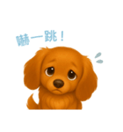 ミニチュアダックスフンド【繁體字】（個別スタンプ：12）