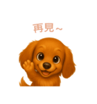 ミニチュアダックスフンド【繁體字】（個別スタンプ：16）