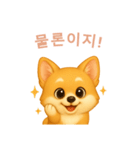 コーギースタンプ【韓国語】（個別スタンプ：10）