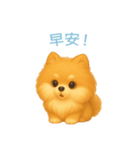ポメラニアンスタンプ【繁體字】（個別スタンプ：3）