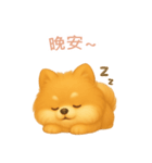 ポメラニアンスタンプ【繁體字】（個別スタンプ：4）