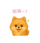 ポメラニアンスタンプ【繁體字】（個別スタンプ：5）