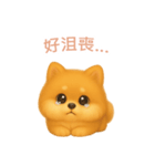 ポメラニアンスタンプ【繁體字】（個別スタンプ：7）