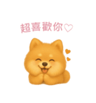 ポメラニアンスタンプ【繁體字】（個別スタンプ：8）
