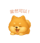 ポメラニアンスタンプ【繁體字】（個別スタンプ：10）