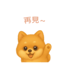 ポメラニアンスタンプ【繁體字】（個別スタンプ：16）